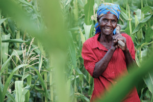 Woman farmer, Nyando Climate Smart Villages, Kenya © Climate Change, Agriculture and Food Security 